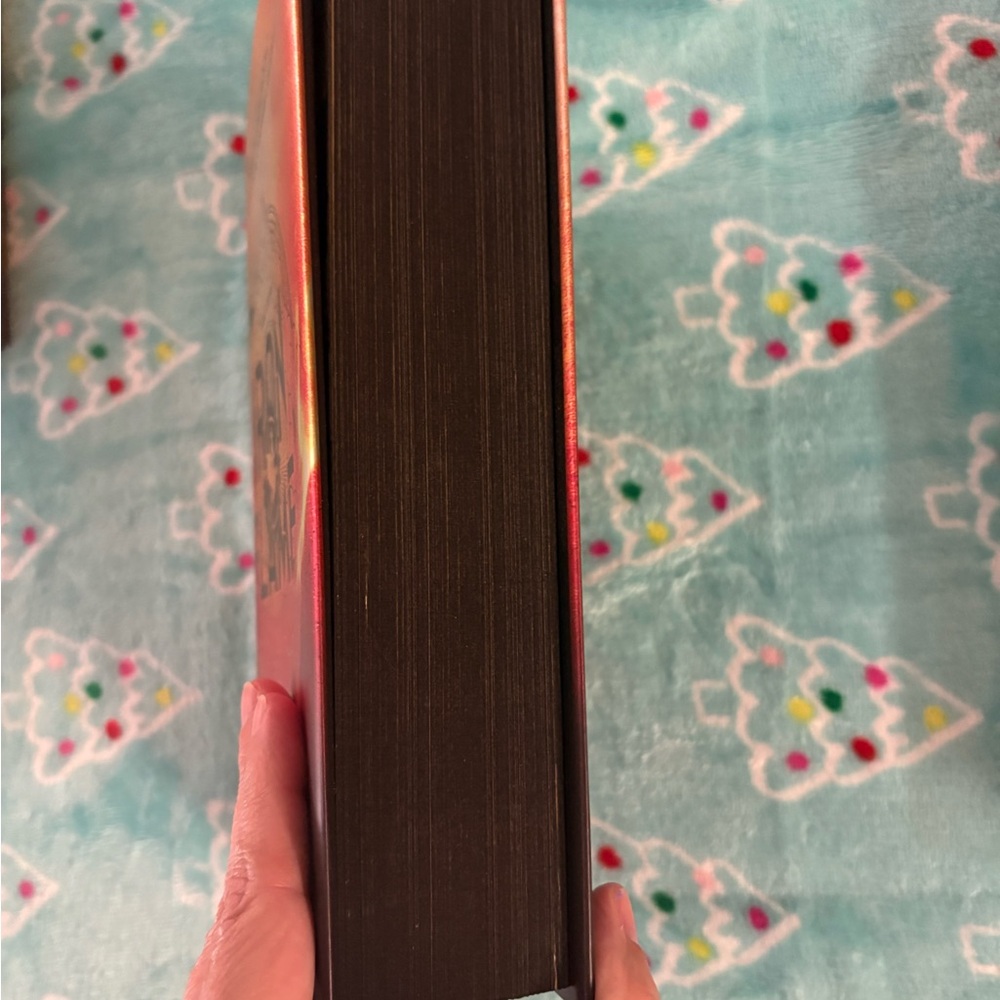 Iron Flame Hardcover Book - Picture 3 of 4